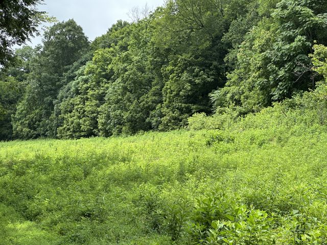 0 Pea Ridge Rd, Chestnut Mound, TN 38552