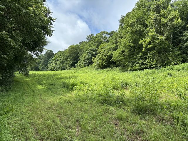 0 Pea Ridge Rd, Chestnut Mound, TN 38552