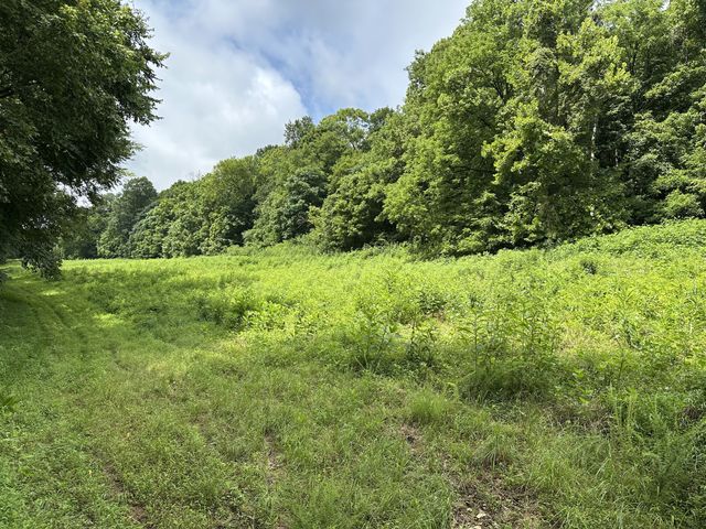 0 Pea Ridge Rd, Chestnut Mound, TN 38552