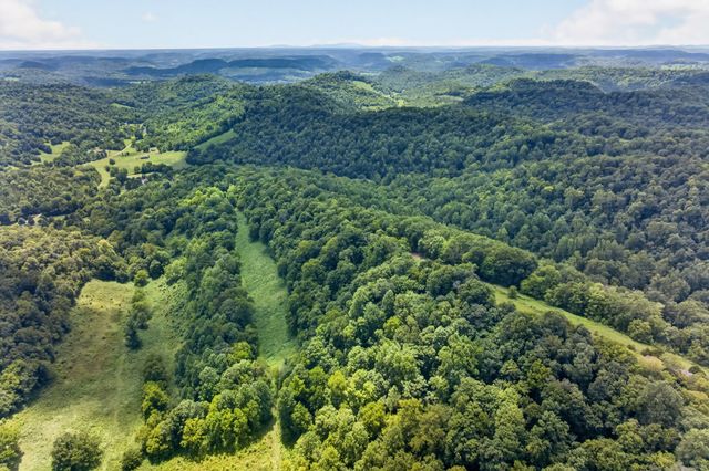 0 Pea Ridge Rd, Chestnut Mound, TN 38552