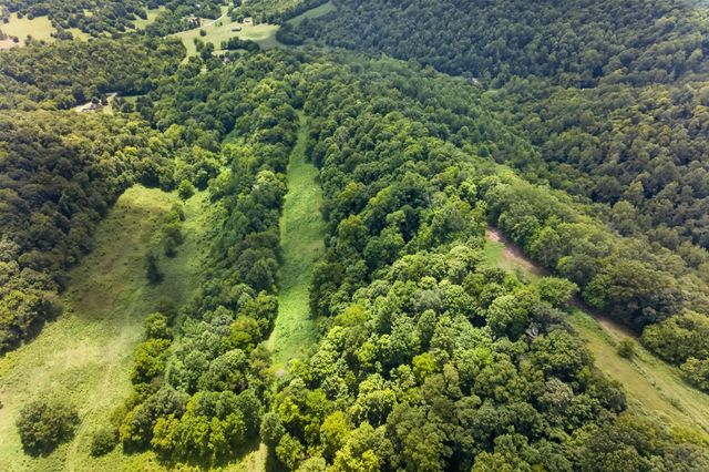 0 Pea Ridge Rd, Chestnut Mound, TN 38552