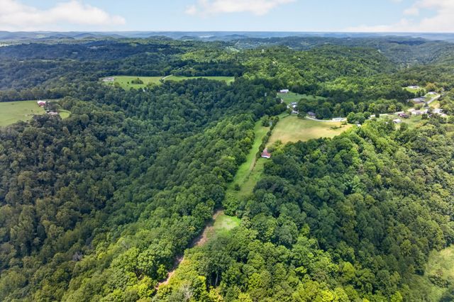 0 Pea Ridge Rd, Chestnut Mound, TN 38552