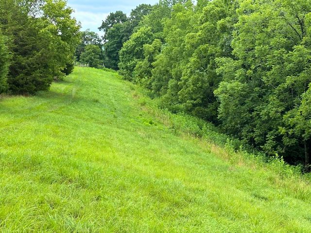 0 Pea Ridge Rd, Chestnut Mound, TN 38552