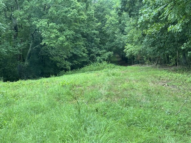 0 Pea Ridge Rd, Chestnut Mound, TN 38552