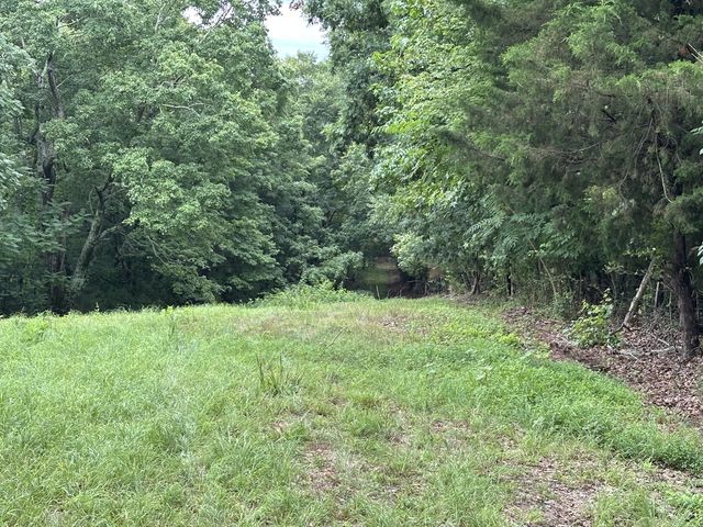 0 Pea Ridge Rd, Chestnut Mound, TN 38552