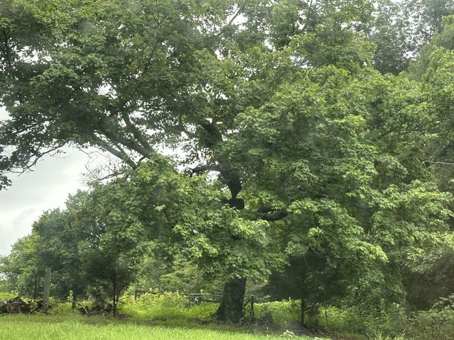 0 Pea Ridge Rd, Chestnut Mound, TN 38552
