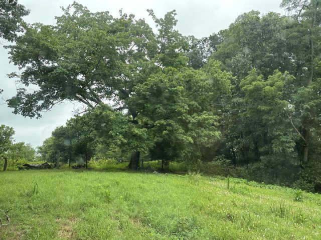 0 Pea Ridge Rd, Chestnut Mound, TN 38552