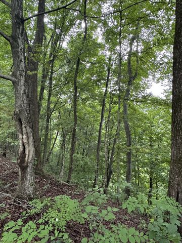 0 Pea Ridge Rd, Chestnut Mound, TN 38552