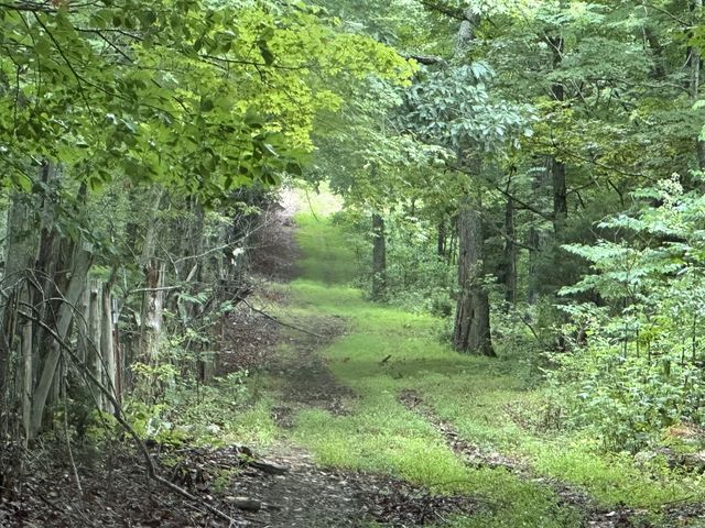 0 Pea Ridge Rd, Chestnut Mound, TN 38552