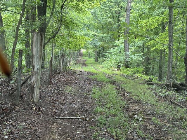 0 Pea Ridge Rd, Chestnut Mound, TN 38552