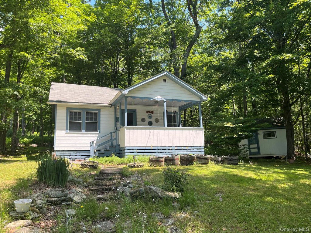 44 Barton Road, Liberty, NY 12754
