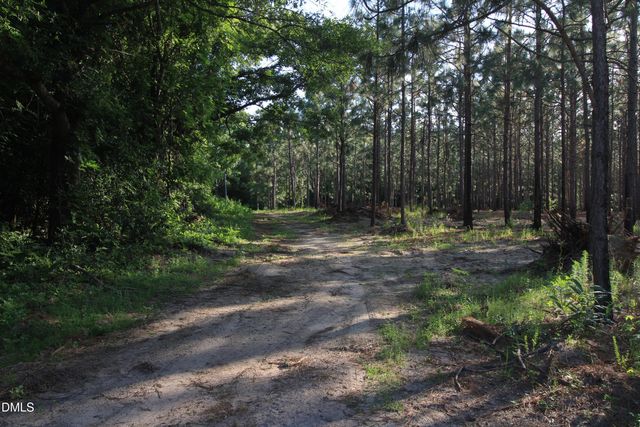 0 Johnson Pond Road, Red Springs, NC 28377