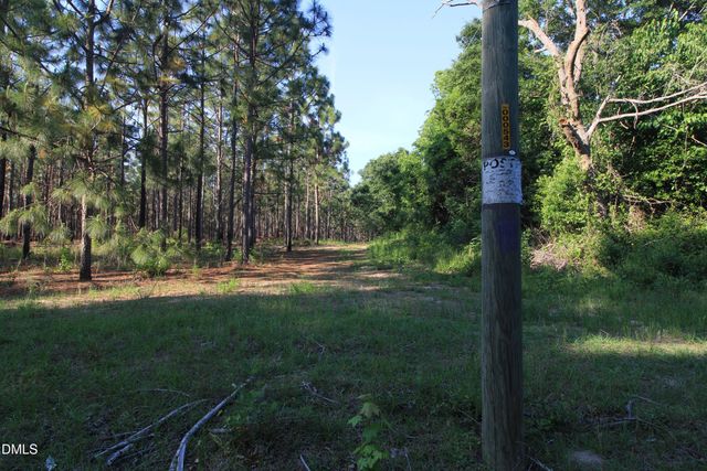 0 Johnson Pond Road, Red Springs, NC 28377