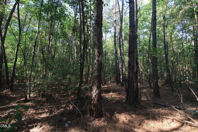 0 Johnson Pond Road, Red Springs, NC 28377