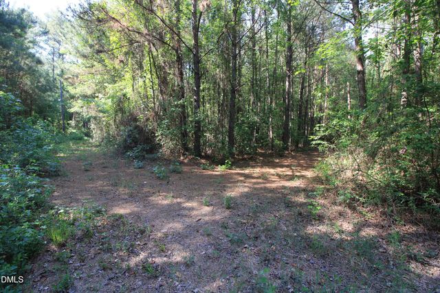 0 Johnson Pond Road, Red Springs, NC 28377