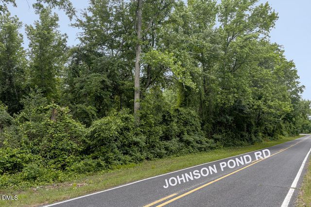 0 Johnson Pond Road, Red Springs, NC 28377