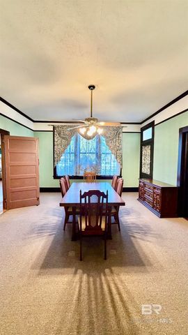 307 SALTER STREET, Evergreen, AL 36401