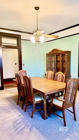 307 SALTER STREET, Evergreen, AL 36401