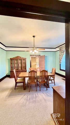 307 SALTER STREET, Evergreen, AL 36401