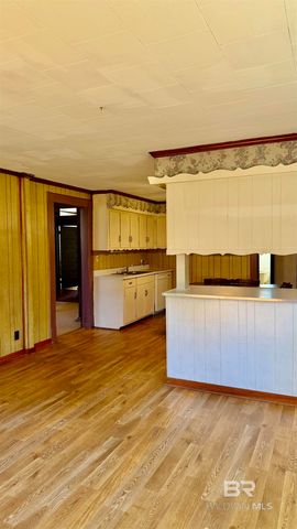 307 SALTER STREET, Evergreen, AL 36401