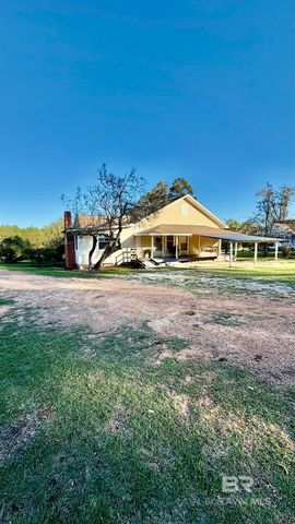 307 SALTER STREET, Evergreen, AL 36401