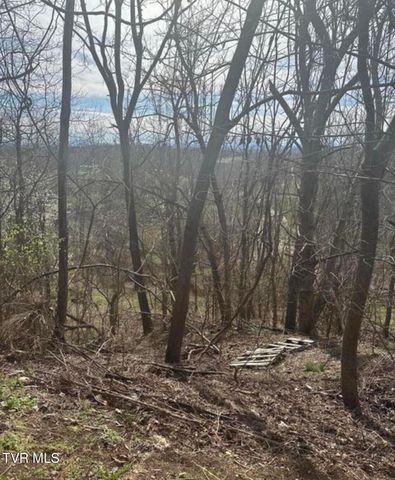 322 Bayberry Drive, Kingsport, TN 37663