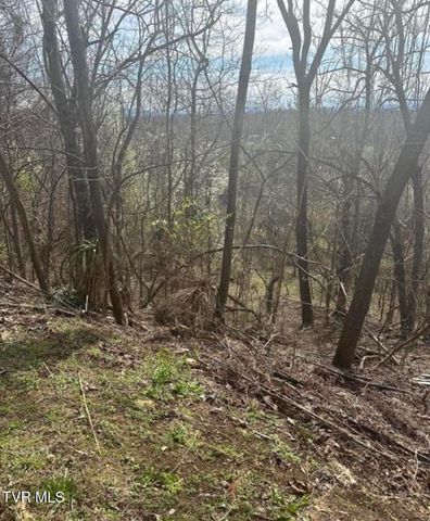 322 Bayberry Drive, Kingsport, TN 37663