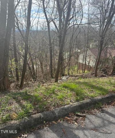 322 Bayberry Drive, Kingsport, TN 37663