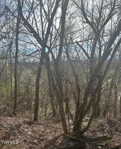 322 Bayberry Drive, Kingsport, TN 37663