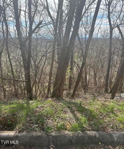 322 Bayberry Drive, Kingsport, TN 37663