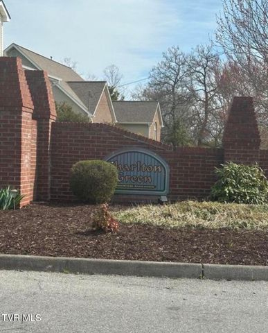 322 Bayberry Drive, Kingsport, TN 37663