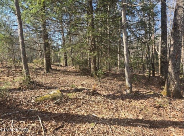 391 Cherokee Rd, Crossville, TN 38572