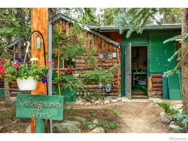 650 W Pine Street, Nederland, CO 80466