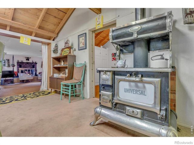 650 W Pine Street, Nederland, CO 80466