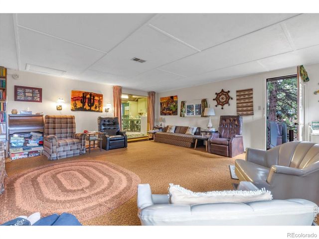 650 W Pine Street, Nederland, CO 80466