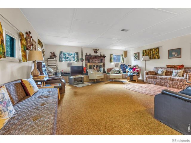 650 W Pine Street, Nederland, CO 80466