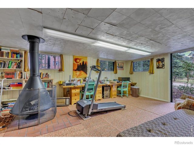 650 W Pine Street, Nederland, CO 80466