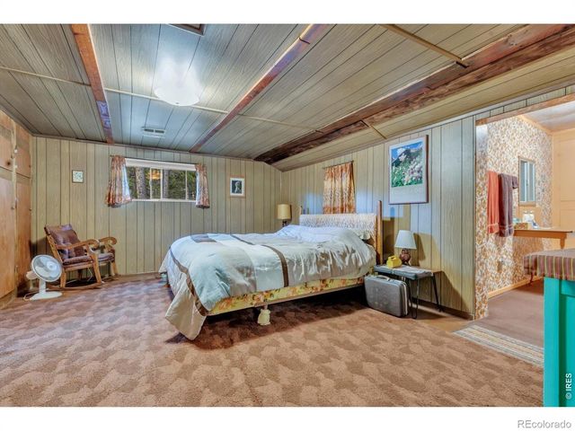 650 W Pine Street, Nederland, CO 80466