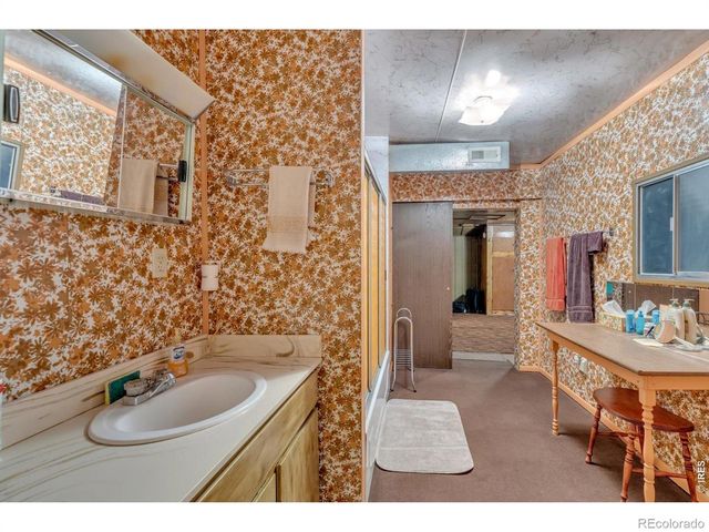 650 W Pine Street, Nederland, CO 80466