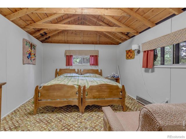 650 W Pine Street, Nederland, CO 80466
