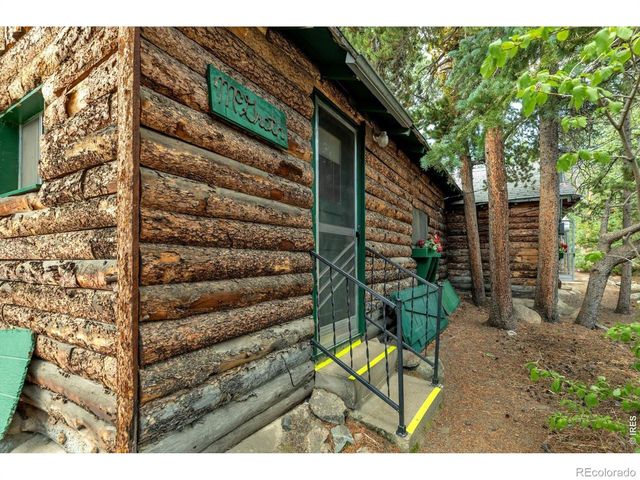 650 W Pine Street, Nederland, CO 80466