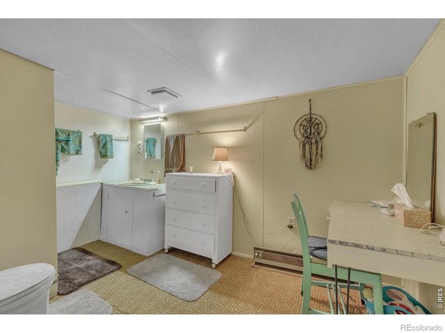 650 W Pine Street, Nederland, CO 80466