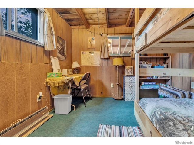 650 W Pine Street, Nederland, CO 80466