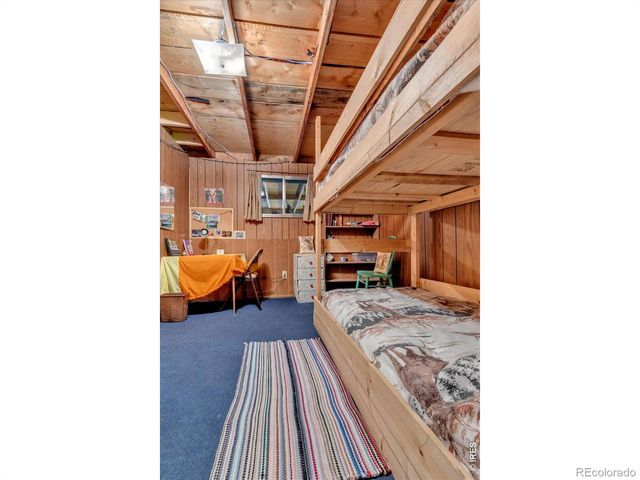 650 W Pine Street, Nederland, CO 80466