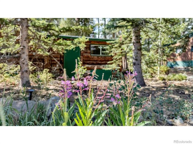650 W Pine Street, Nederland, CO 80466