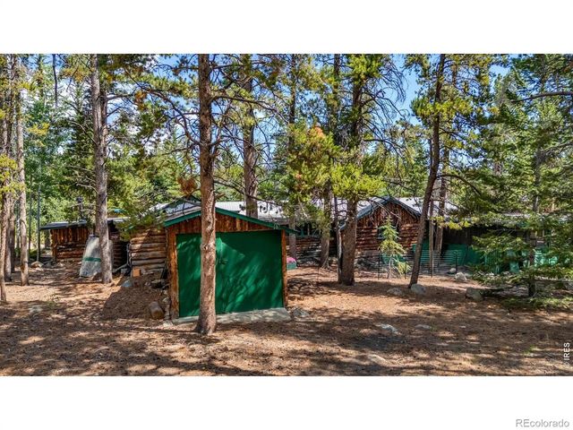 650 W Pine Street, Nederland, CO 80466
