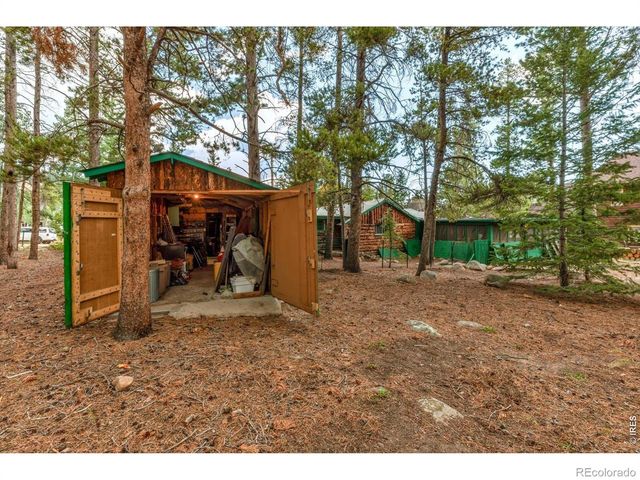650 W Pine Street, Nederland, CO 80466