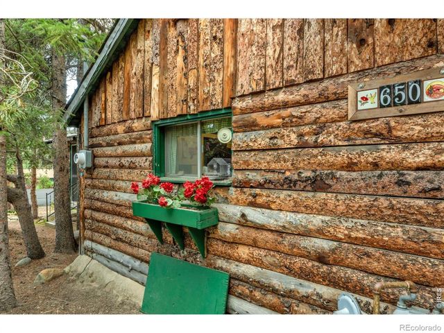 650 W Pine Street, Nederland, CO 80466