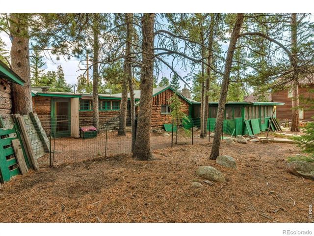 650 W Pine Street, Nederland, CO 80466
