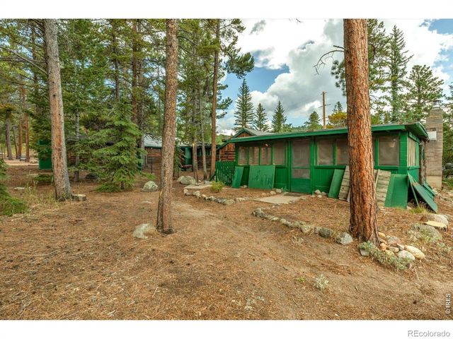 650 W Pine Street, Nederland, CO 80466